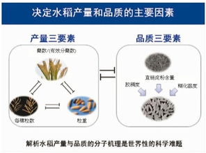 2017年度國(guó)家科技獎(jiǎng)勵(lì)大會(huì) 自然科學(xué)研究的新高度與時(shí)代使命
